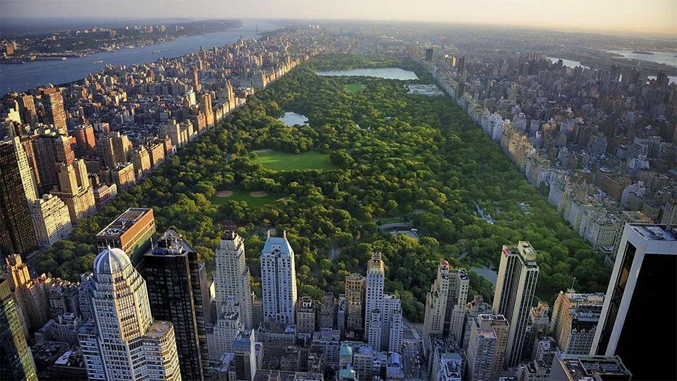 personal training manhattan